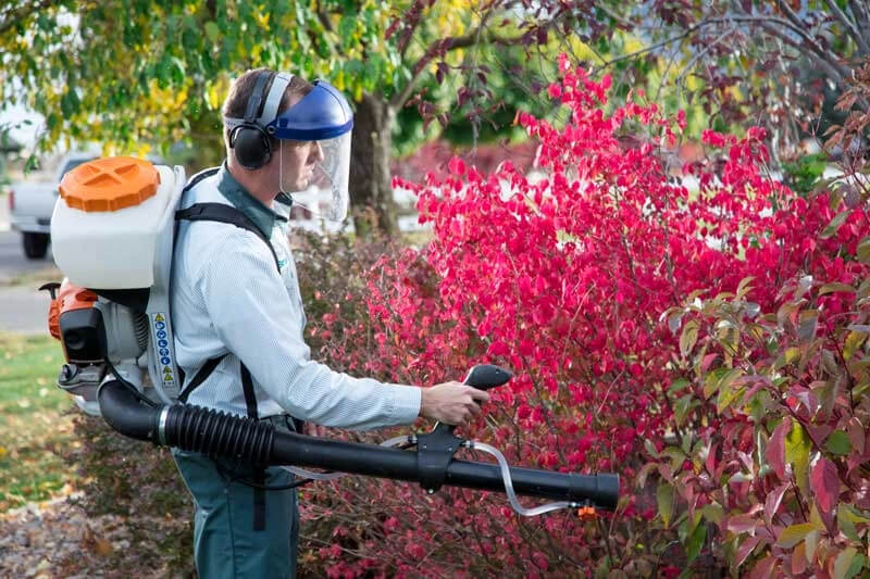 Prepare for Next Year Mosquitoes