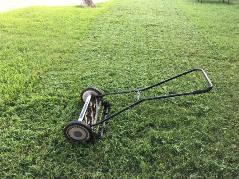 Why People Hate Yard Work