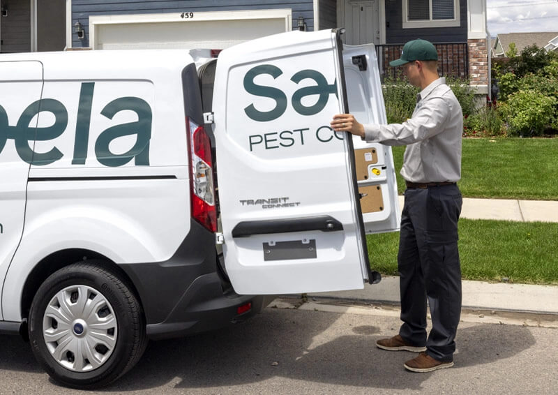 pest control service
