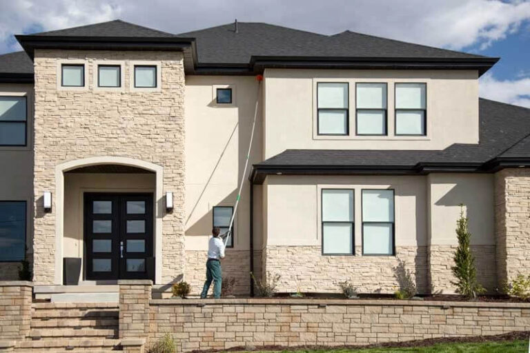 Why Pest Control Should Be Part of Regular Home Maintenance