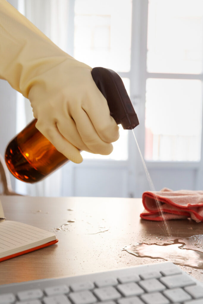 Common Household Pests and What You Should Do to Get Rid of Them
