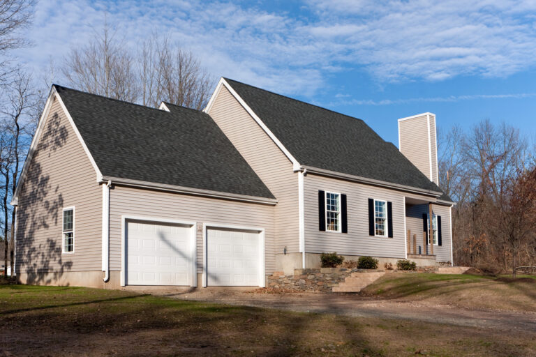The Importance of Regular Pest Control Services for Homeowners