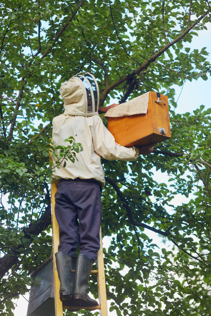 Hornet Control in 2025: A Comprehensive Guide to Protecting Your Property