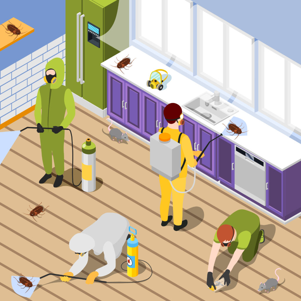 Cockroach Exterminator: Your Complete Guide to Professional Pest Control