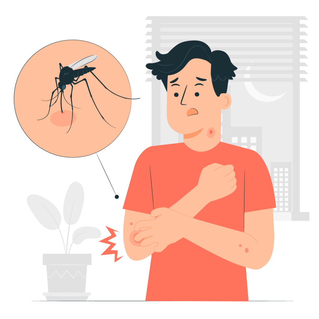 Professional Mosquito Exterminator Guide: How to Permanently Eliminate Disease-Carrying Pests