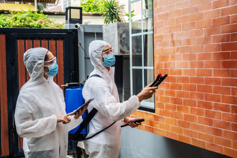 How Much Is a Pest Control Visit in the US