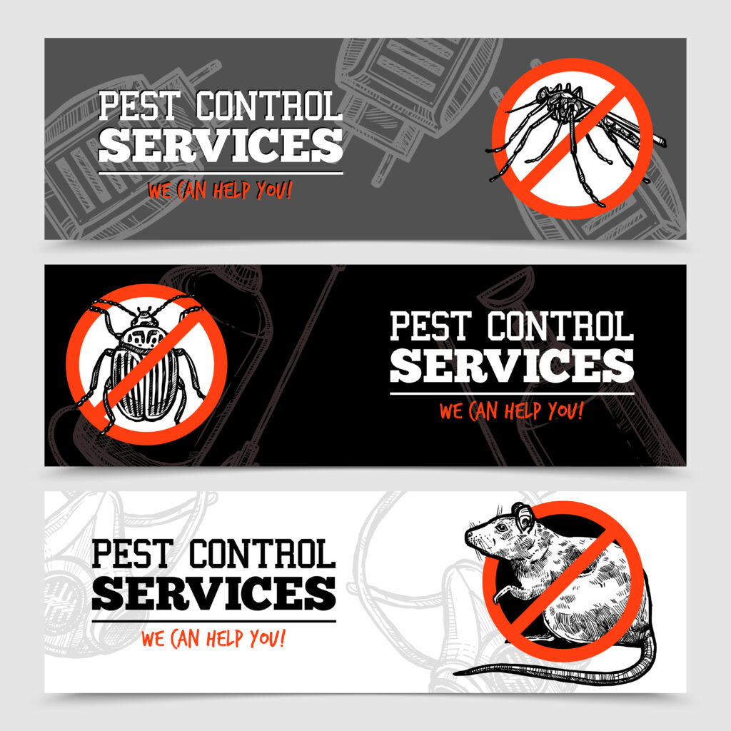 How Do You Stop a Pest Infestation? Expert Tips & Solutions