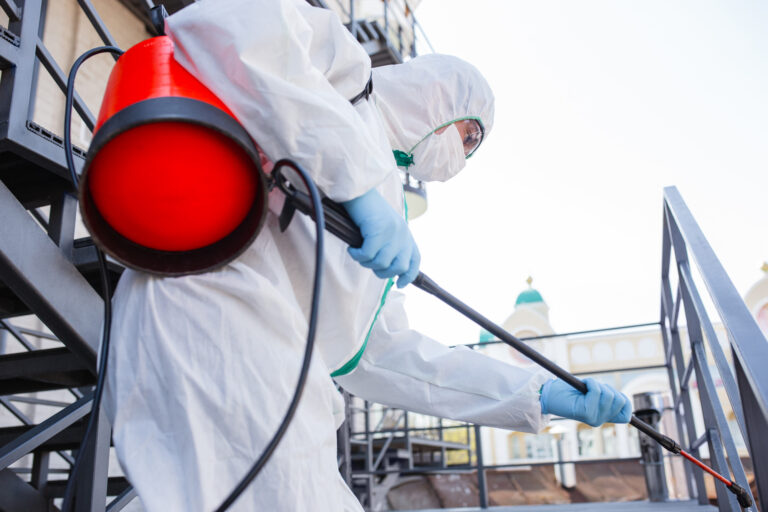Complete Guide to Pest Control Services in Frisco: Protecting Your Home and Family