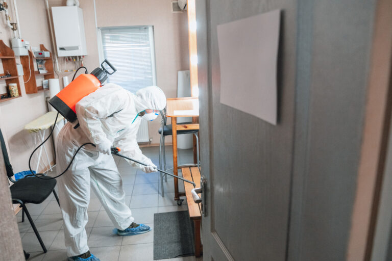 Complete Guide to Pest Control Service in Fort Worth