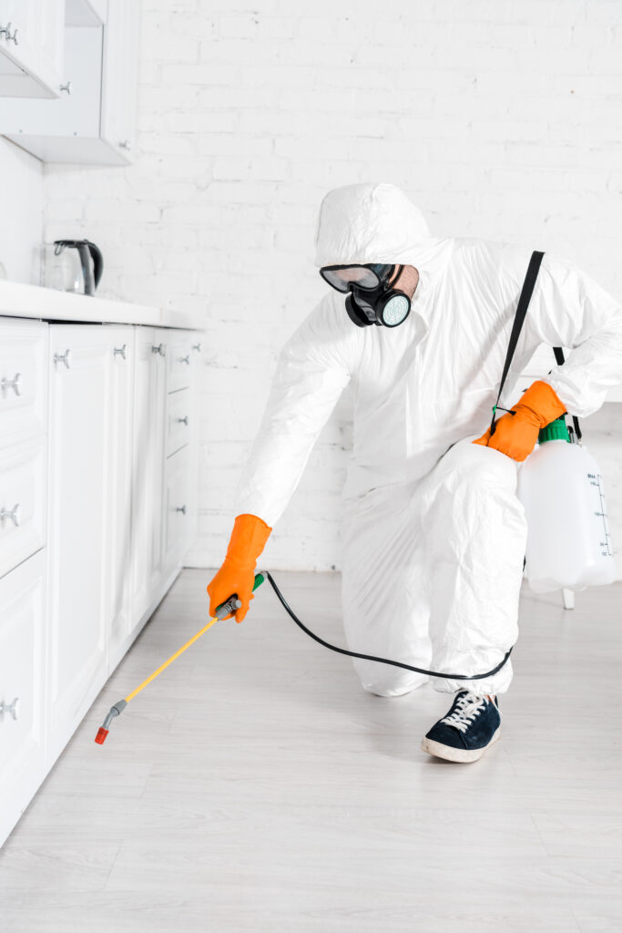 Comprehensive Guide to Pest Control Services in Alpine