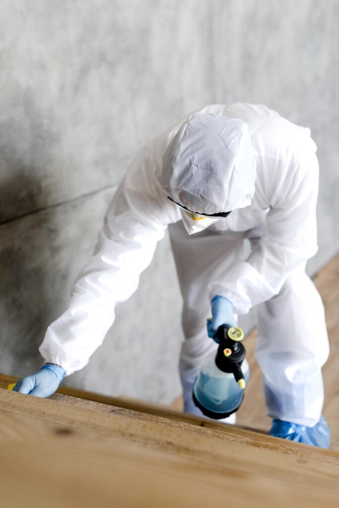 Complete Guide to Pest Control Services in Berthoud