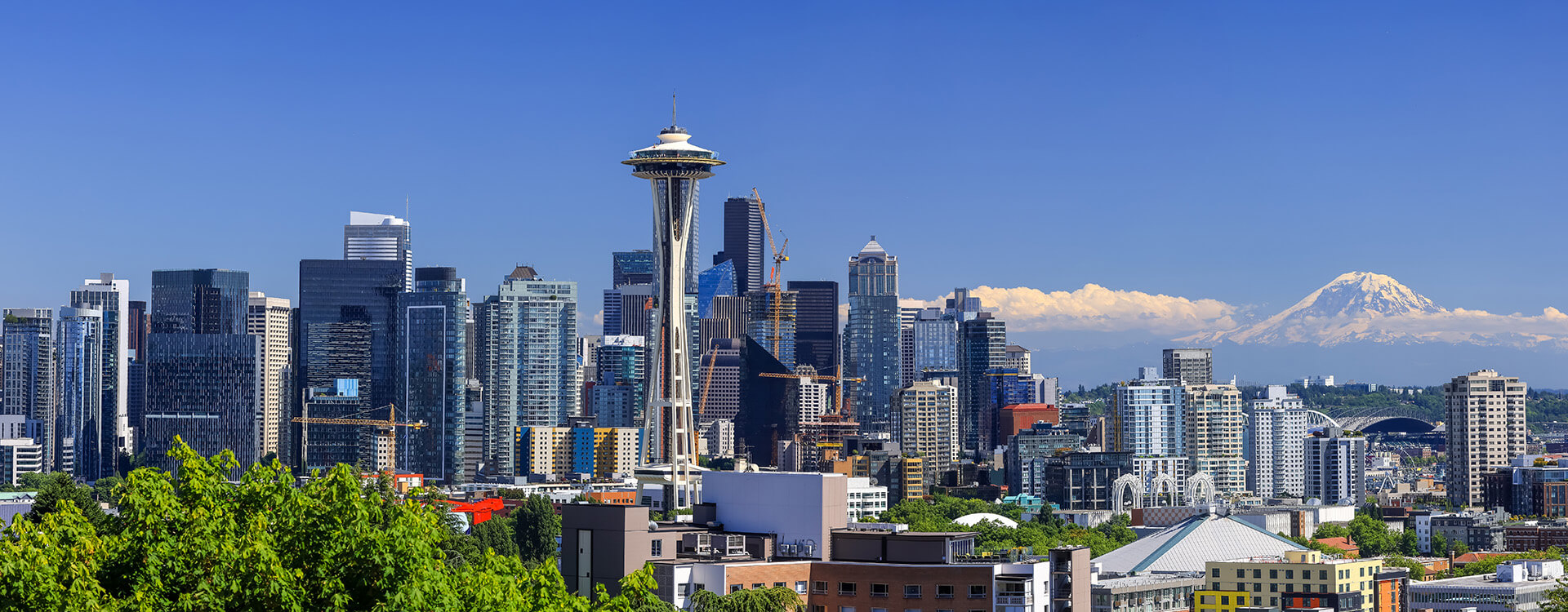 Lynnwood pest control
