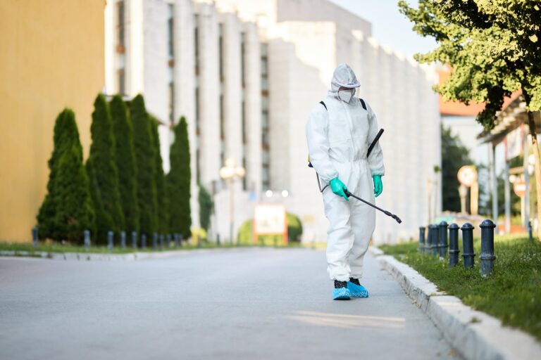 The Ultimate Guide to Pest Control Services in Lakewood