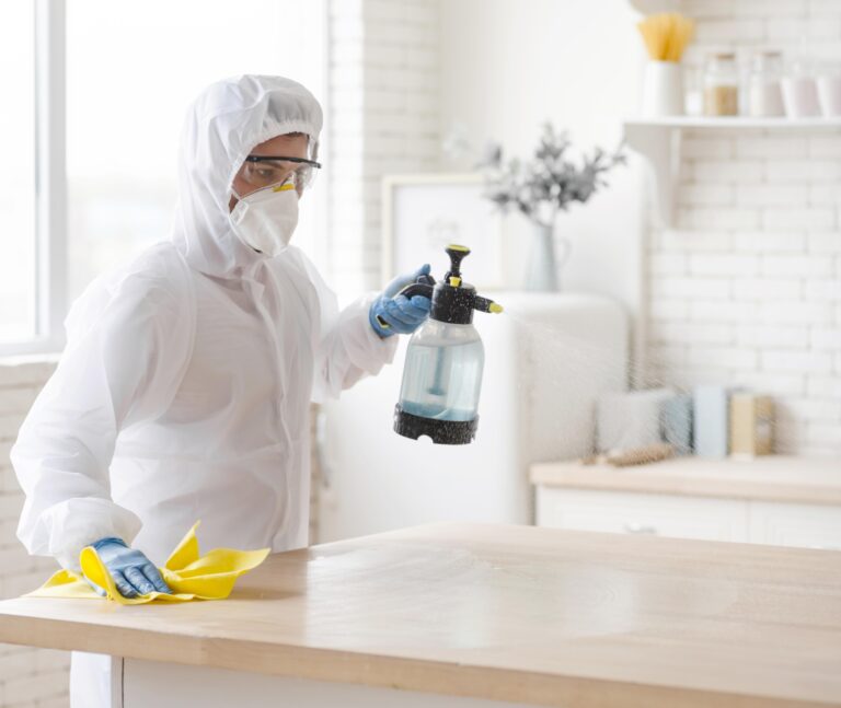 The Ultimate Guide to Pest Control Services in Kent