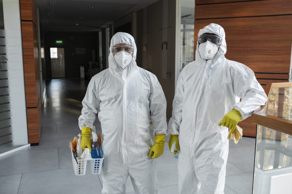 Comprehensive Guide to Pest Control Services in American Fork, Utah