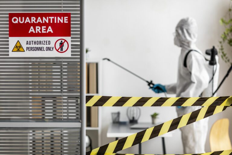 Complete Guide to Pest Control Service in Addison