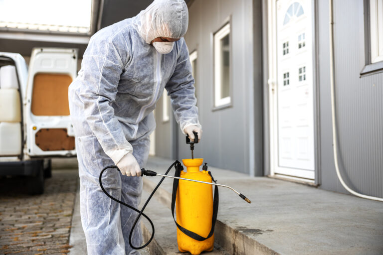 Comprehensive Guide to Pest Control Services in Anna, Texas